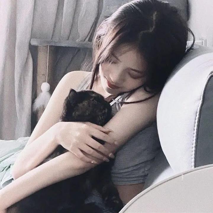 小狗吉米走私事件